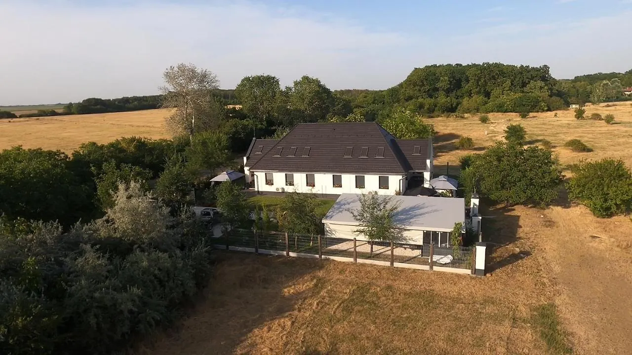 Foeldi Paradicsom Vendeghaz Hajduszoboszlo Hungary